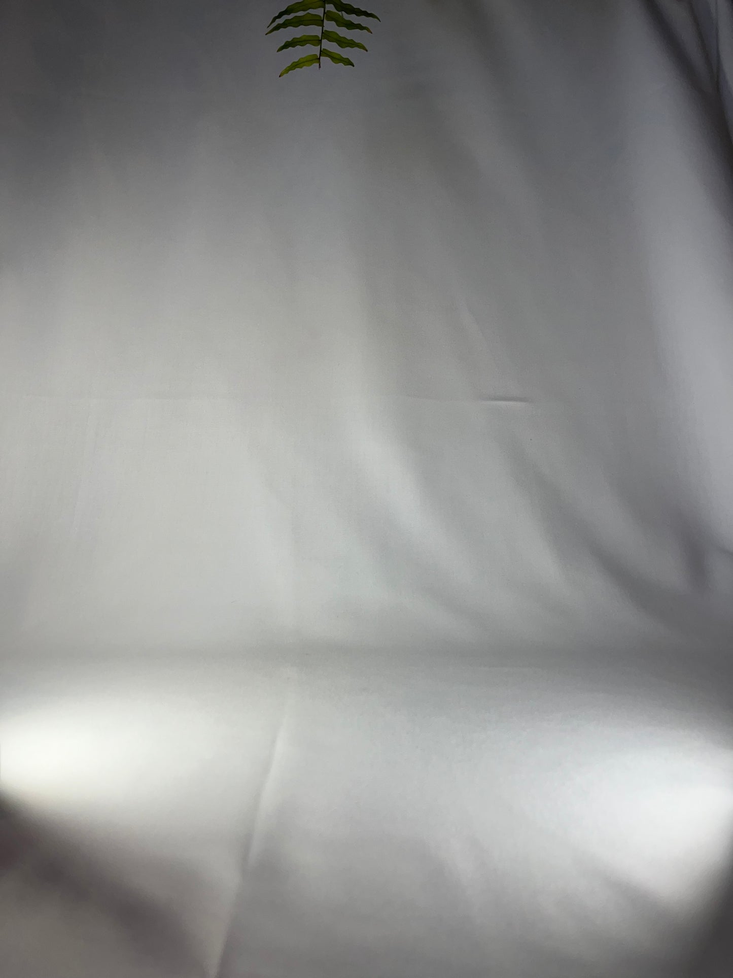 2022 Alain Geoffroy ‘Signature’ Chablis Beauroy premier cru