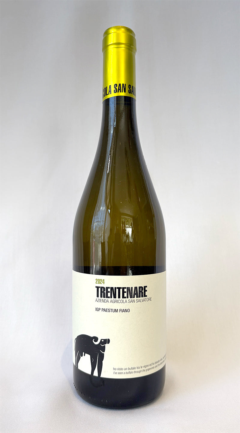 2024 San Salvatore 1988 'Trentenare' fiano